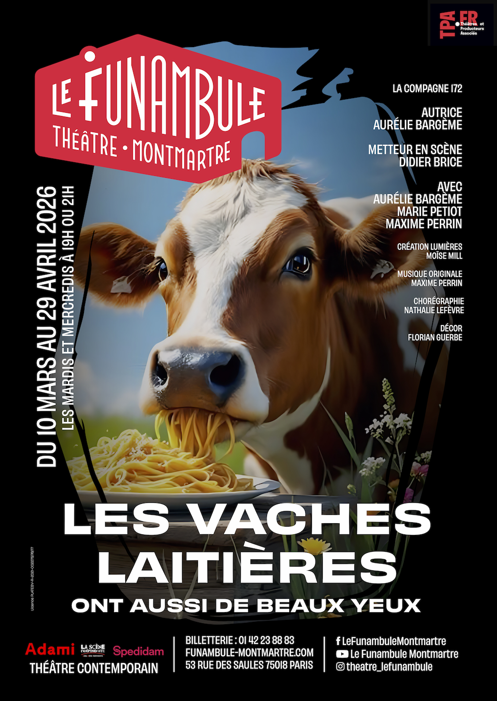 Affiche du spectacle